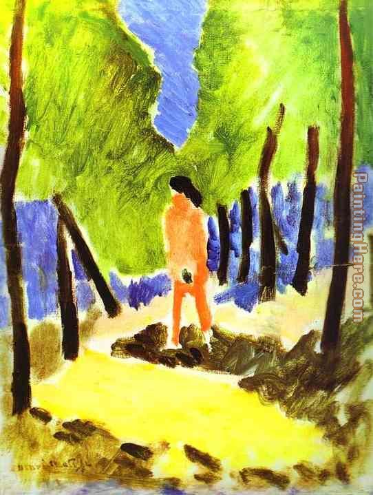 Nude in Sunlit Landscape painting - Henri Matisse Nude in Sunlit Landscape art painting